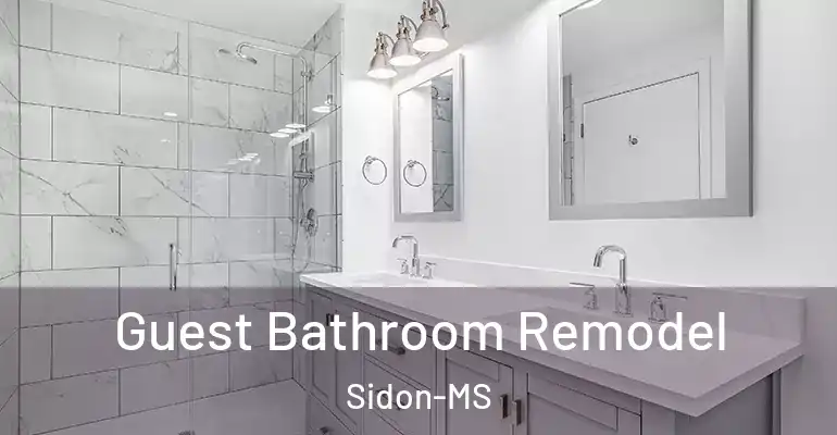 inner Bathroom imggen Guest Bathroom Remodel Sidon-MS