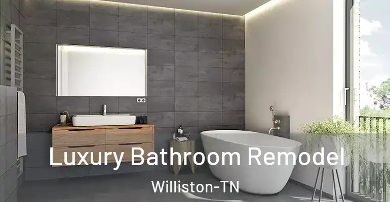 inner Bathroom imggen Luxury Bathroom Remodel Williston-TN
