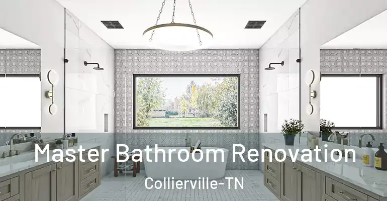 inner Bathroom imggen Master Bathroom Renovation Collierville-TN