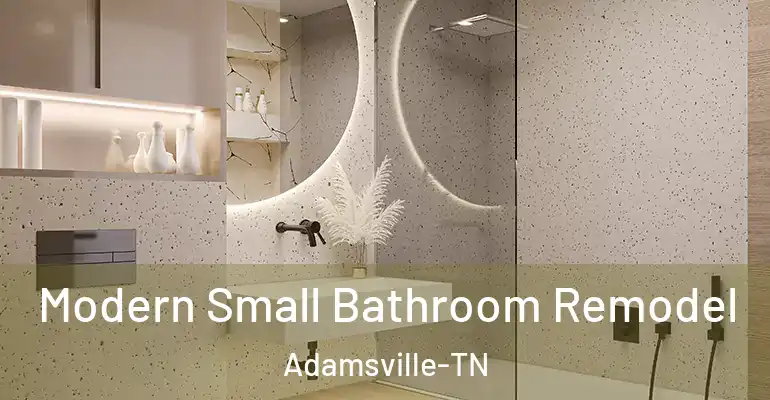 inner Bathroom imggen Modern Small Bathroom Remodel Adamsville-TN