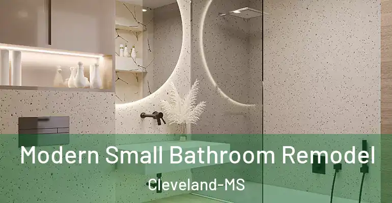 inner Bathroom imggen Modern Small Bathroom Remodel Cleveland-MS