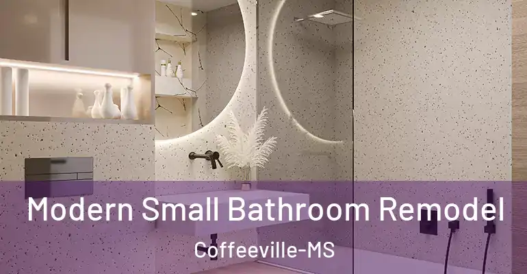 inner Bathroom imggen Modern Small Bathroom Remodel Coffeeville-MS