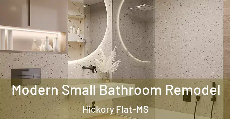 inner Bathroom imggen Modern Small Bathroom Remodel Hickory Flat-MS