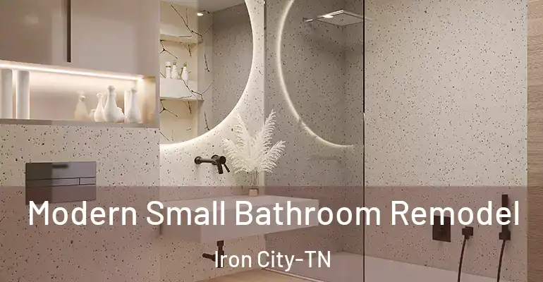 inner Bathroom imggen Modern Small Bathroom Remodel Iron City-TN