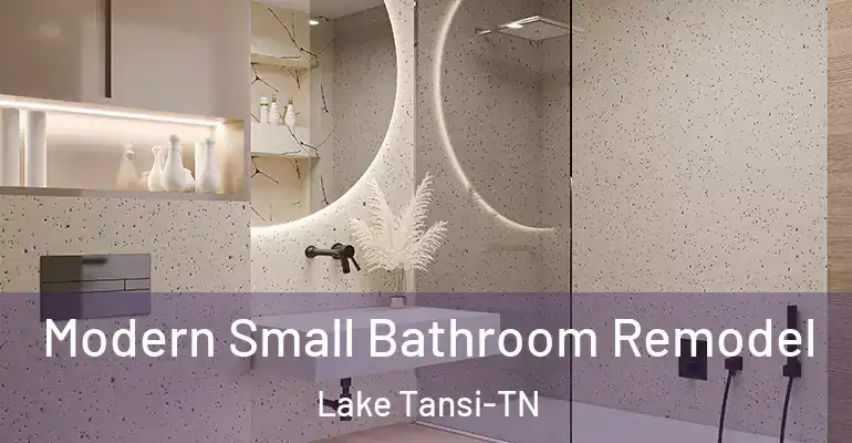 inner Bathroom imggen Modern Small Bathroom Remodel Lake Tansi-TN