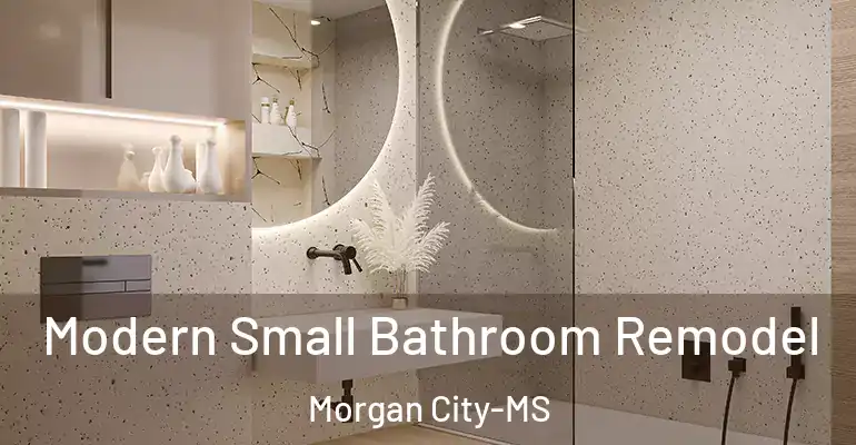 inner Bathroom imggen Modern Small Bathroom Remodel Morgan City-MS
