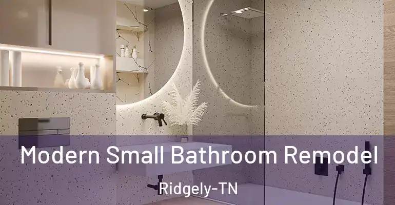 inner Bathroom imggen Modern Small Bathroom Remodel Ridgely-TN