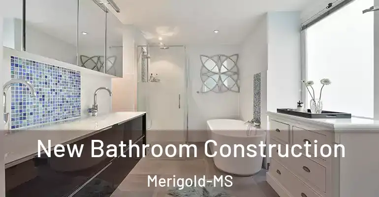 inner Bathroom imggen New Bathroom Construction Merigold-MS