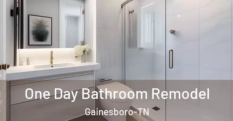 inner Bathroom imggen One Day Bathroom Remodel Gainesboro-TN