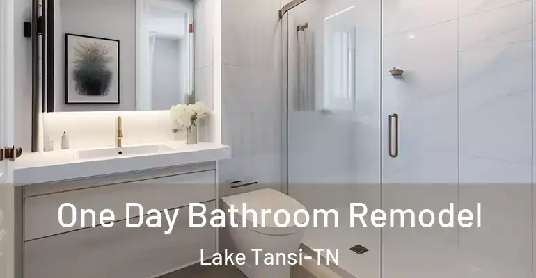 inner Bathroom imggen One Day Bathroom Remodel Lake Tansi-TN