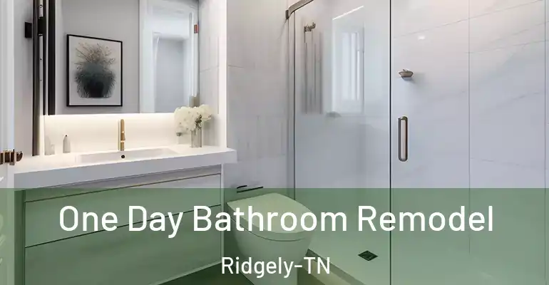inner Bathroom imggen One Day Bathroom Remodel Ridgely-TN
