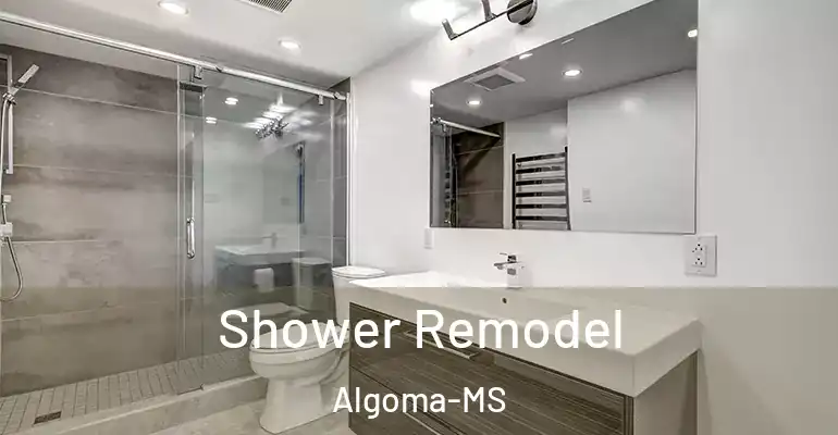 inner Bathroom imggen Shower Remodel Algoma-MS