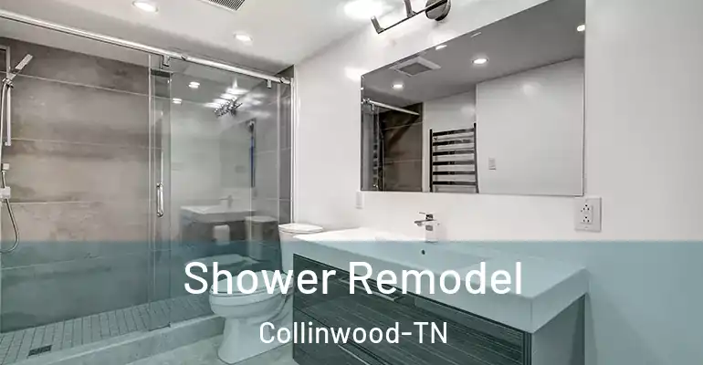 inner Bathroom imggen Shower Remodel Collinwood-TN