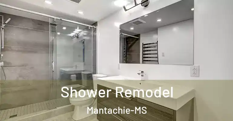 inner Bathroom imggen Shower Remodel Mantachie-MS