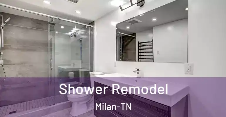 inner Bathroom imggen Shower Remodel Milan-TN