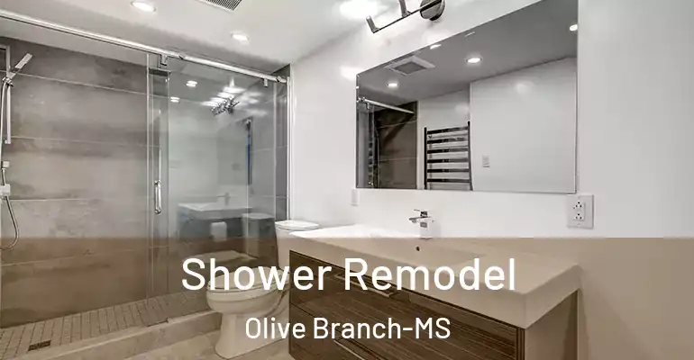 inner Bathroom imggen Shower Remodel Olive Branch-MS