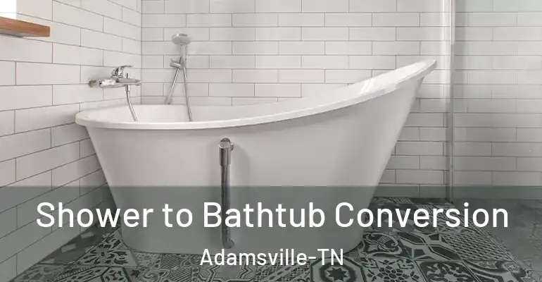 inner Bathroom imggen Shower to Bathtub Conversion Adamsville-TN