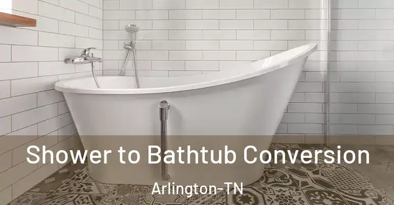 inner Bathroom imggen Shower to Bathtub Conversion Arlington-TN