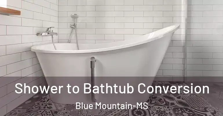 inner Bathroom imggen Shower to Bathtub Conversion Blue Mountain-MS