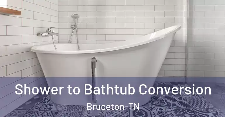 inner Bathroom imggen Shower to Bathtub Conversion Bruceton-TN