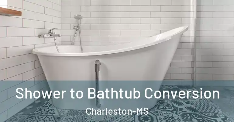 inner Bathroom imggen Shower to Bathtub Conversion Charleston-MS