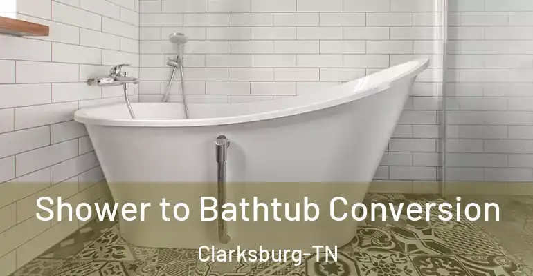 inner Bathroom imggen Shower to Bathtub Conversion Clarksburg-TN