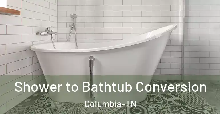 inner Bathroom imggen Shower to Bathtub Conversion Columbia-TN