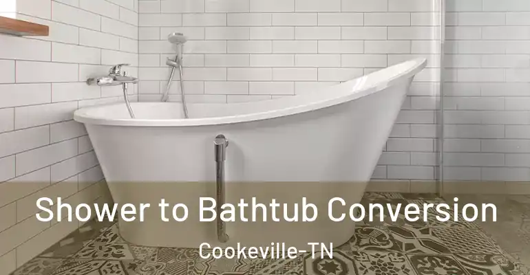 inner Bathroom imggen Shower to Bathtub Conversion Cookeville-TN