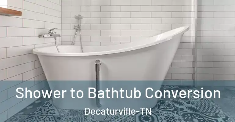 inner Bathroom imggen Shower to Bathtub Conversion Decaturville-TN