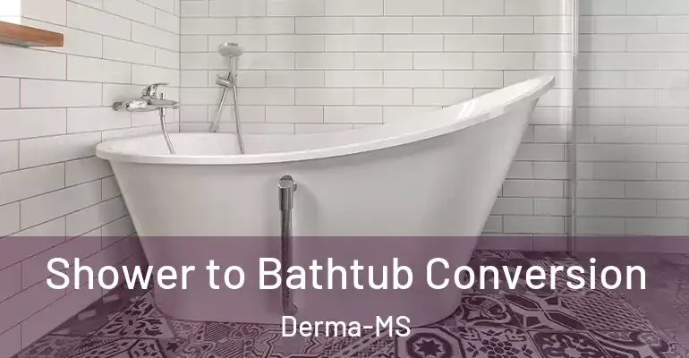 inner Bathroom imggen Shower to Bathtub Conversion Derma-MS