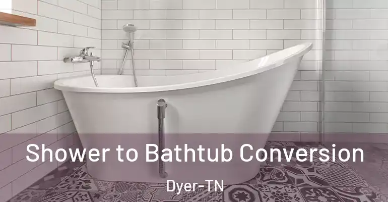 inner Bathroom imggen Shower to Bathtub Conversion Dyer-TN
