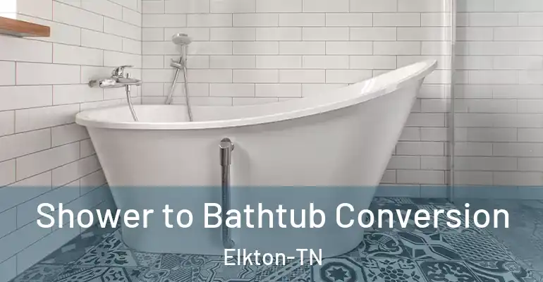 inner Bathroom imggen Shower to Bathtub Conversion Elkton-TN