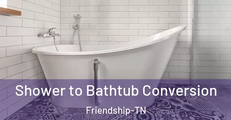 inner Bathroom imggen Shower to Bathtub Conversion Friendship-TN