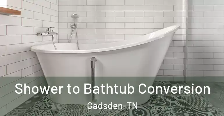 inner Bathroom imggen Shower to Bathtub Conversion Gadsden-TN