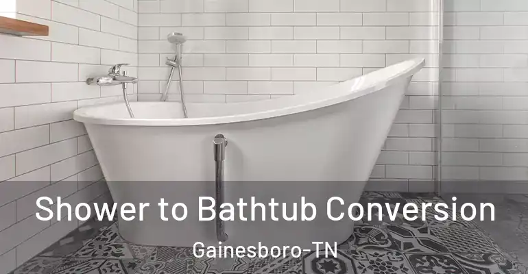 inner Bathroom imggen Shower to Bathtub Conversion Gainesboro-TN