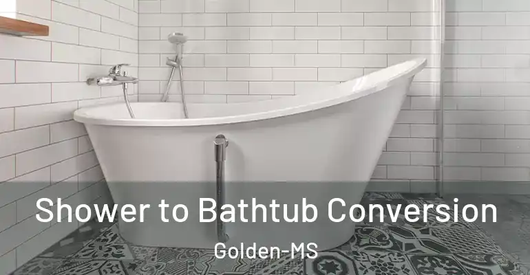 inner Bathroom imggen Shower to Bathtub Conversion Golden-MS