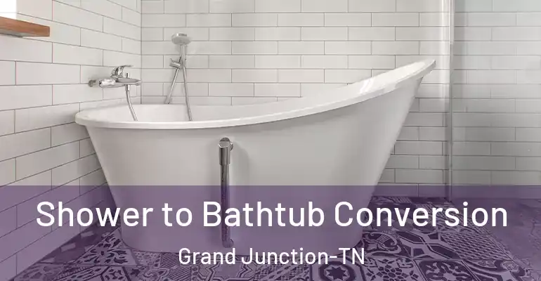 inner Bathroom imggen Shower to Bathtub Conversion Grand Junction-TN