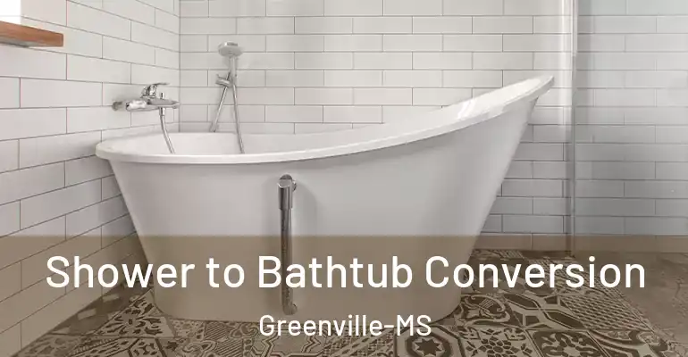 inner Bathroom imggen Shower to Bathtub Conversion Greenville-MS