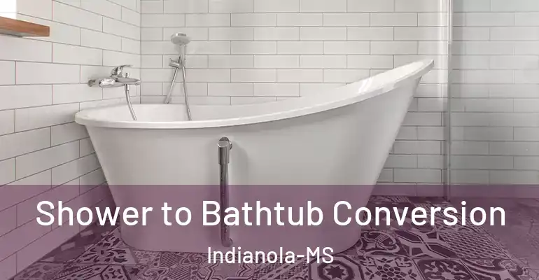 inner Bathroom imggen Shower to Bathtub Conversion Indianola-MS