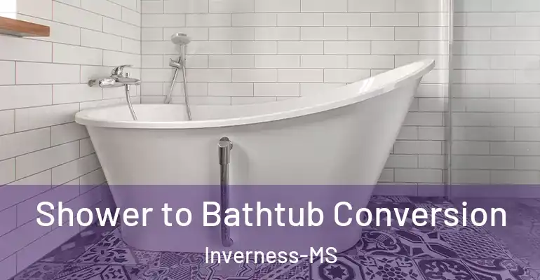 inner Bathroom imggen Shower to Bathtub Conversion Inverness-MS