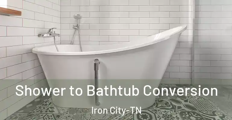 inner Bathroom imggen Shower to Bathtub Conversion Iron City-TN