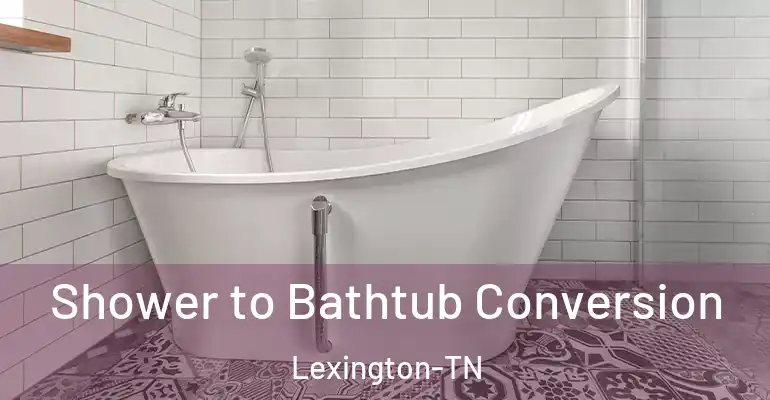 inner Bathroom imggen Shower to Bathtub Conversion Lexington-TN