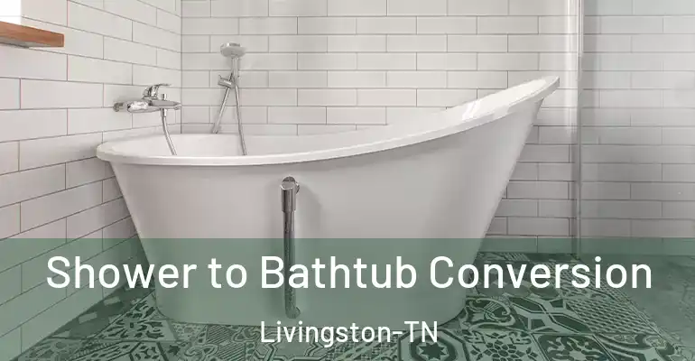 inner Bathroom imggen Shower to Bathtub Conversion Livingston-TN