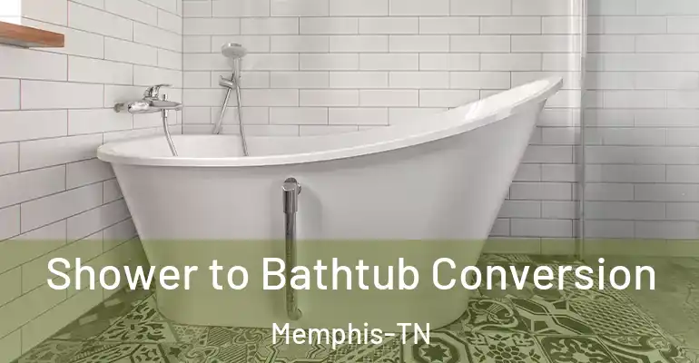 inner Bathroom imggen Shower to Bathtub Conversion Memphis-TN