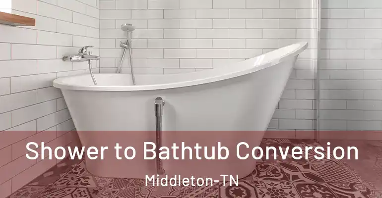 inner Bathroom imggen Shower to Bathtub Conversion Middleton-TN