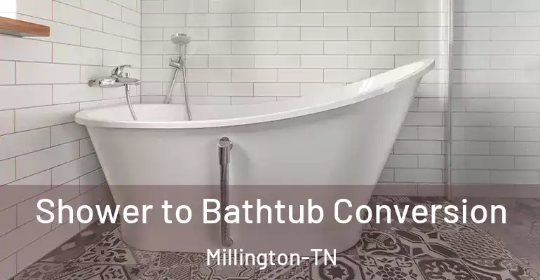 inner Bathroom imggen Shower to Bathtub Conversion Millington-TN