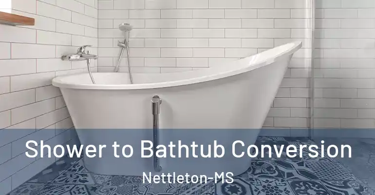 inner Bathroom imggen Shower to Bathtub Conversion Nettleton-MS