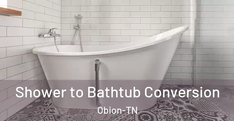 inner Bathroom imggen Shower to Bathtub Conversion Obion-TN