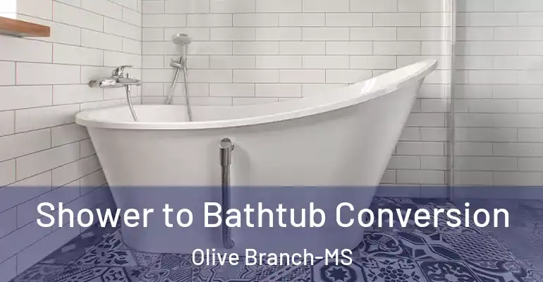 inner Bathroom imggen Shower to Bathtub Conversion Olive Branch-MS