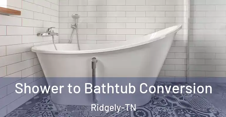 inner Bathroom imggen Shower to Bathtub Conversion Ridgely-TN